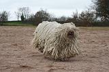 KOMONDOR 138